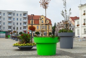 Na pomoc betonowym placom - donice miejskie przywracają zieleń