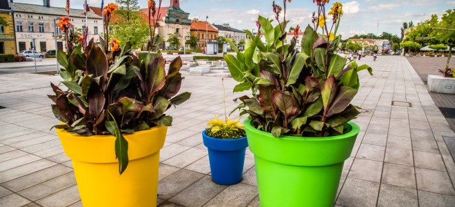 Nowoczesna zabudowa w zgodzie z naturą. Donice miejskie XXL w Tomaszowie Mazowieckim